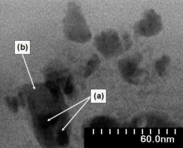 Mikrostruktura otrzymanych materiałów zol-żelowych zawierających nanokryształy fluorkowe β-pbf2:eu 3+ o budowie regularnej została scharakteryzowana techniką elektronowej mikroskopii