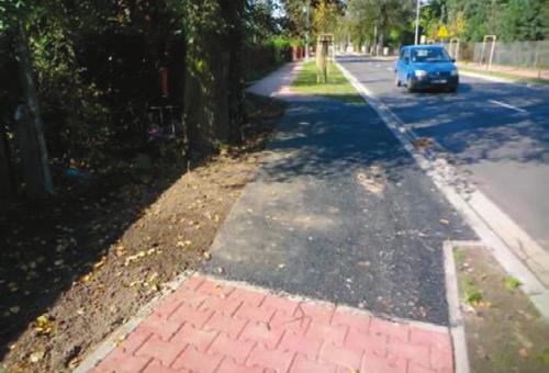 Współpraca samorządów miast z gestorami sieci czy można sadzić drzewa na sieciach? Wprowadzenie Drzewa uważane są za najbardziej efektywne elementy przyrodnicze w zakresie tzw.