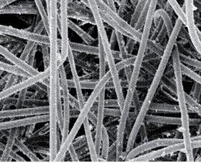 in magnification range 100 a b RYSUNEK 7.