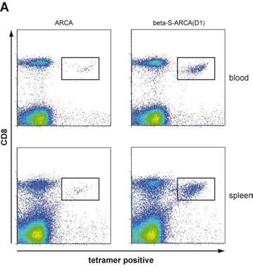 , et al. Gene Therapy 17, 961-971 (2010).