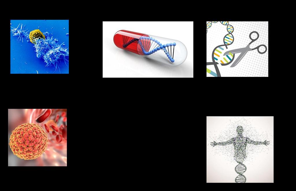 All messenger RNA Therapeutics are made using the same