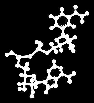 EurJOC (2016) Rydzik et al. Nucl. Acids Res. (2017) Wojtczak et al. RSC Adv.