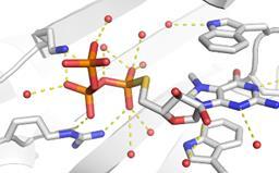 metabolitów Projektowanie i optymalizacja inhibitorów Mamot et al.