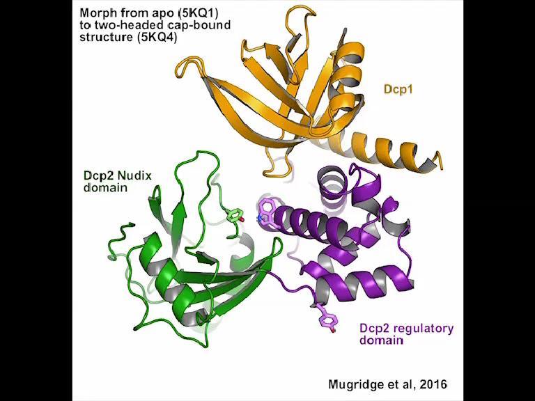 J. Mugridge et al.