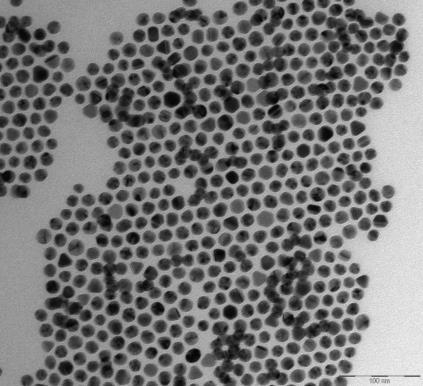 Gold nanoparticles