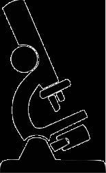 confocal microscopy