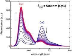 One-pot, two-step click chemisty - perspektywy Cy3 FL1 FL1 Cy5 FL2 Q FL1 FL1 B NP FL fluorescent label Q