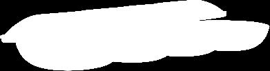 zł   Niski