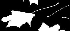Dream Rock DEU 000355203350 HL 10867 4,45 484 3,41 371 ML