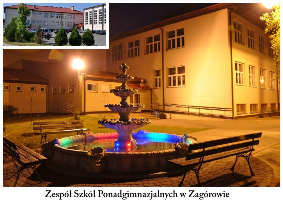 Wincentego Witosa w Strzałkowie Zespół Szkól