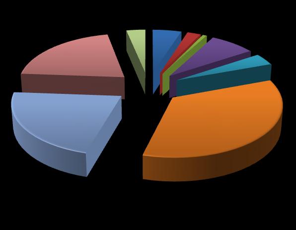 20,6% 21,9% 4,9% 2,3% 0,7% 7,8% 3,3% 3,8% Energia elektryczna Gaz płynny Ciepło sieciowe Olej opałowy Drewno Węgiel Benzyna 34,8% Olej napędowy LPG Rysunek 4 Udział poszczególnych nośników energii w