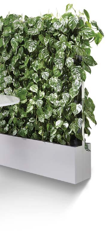 Donice pionowe i poziome typu Sideboard Więcej produktów