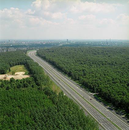 WPŁYW SZLAKÓW KOMUNIKACYJNYCH NA ŚRODOWISKO LEŚNE 1.