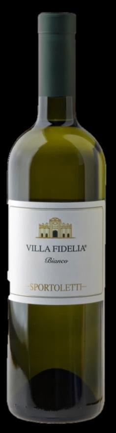 ASSISI GRECHETTO 39,00 zł/brutto 0,75 l. alk-13,5 % KRAJ POCHODZENIA WŁOCHY, UMBRIA RODZAJ WINA Białe, wytrawne, D.O.C. SZCZEP 100% Grechetto OPIS Wino cechuje wyjątkowa rześkość i mineralność.