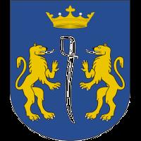 10 NEWSLETTER ZWIĄZKU EUROREGION TATRY Warsztaty ciesielskie Warsztaty ciesielskie, zorganizowane w dniu 29 maja 2018 r. to pierwsze z działań zrealizowanych w ramach mikroprojektu pt.