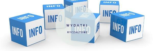 Zasada ta nie dotyczy usług cateringowych, które należy ujmować w ramach kategorii koszty ekspertów zewnętrznych i koszty usług zewnętrznych.