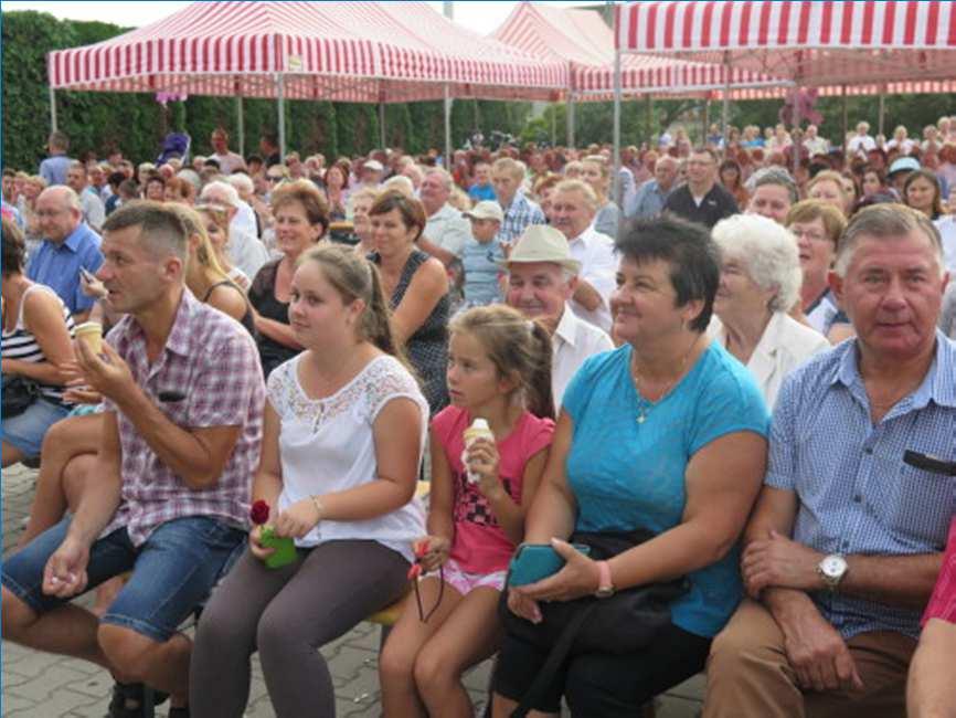 zespoły teatralne, taneczne, folklorystyczne - edukacja 45 +, spotkania