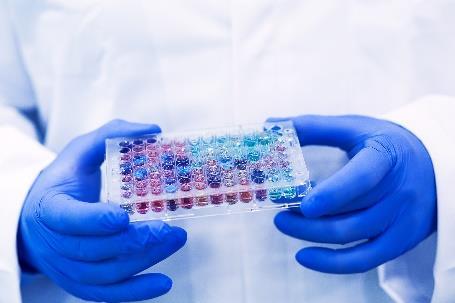 (TNBC). Już wiemy, że ciężka praca całego zespołu GLG przyniosła oczekiwane efekty. Po pierwsze, w lutym br.