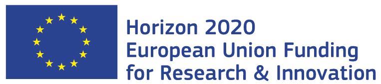 Program Horyzont 2020 Wzór umowy o udzielenie dotacji jednemu beneficjentowi ERBN, Weryfikacja poprawności projektu (H2020 Wzór umowy o udzielenie jednemu beneficjentowi dotacji ERBN w zakresie