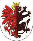 WOJEWÓDZTWO KUJAWSKO-POMORSKIE Liczba jednostek administracyjnych powiaty grodzkie 4 powiaty ziemskie 19