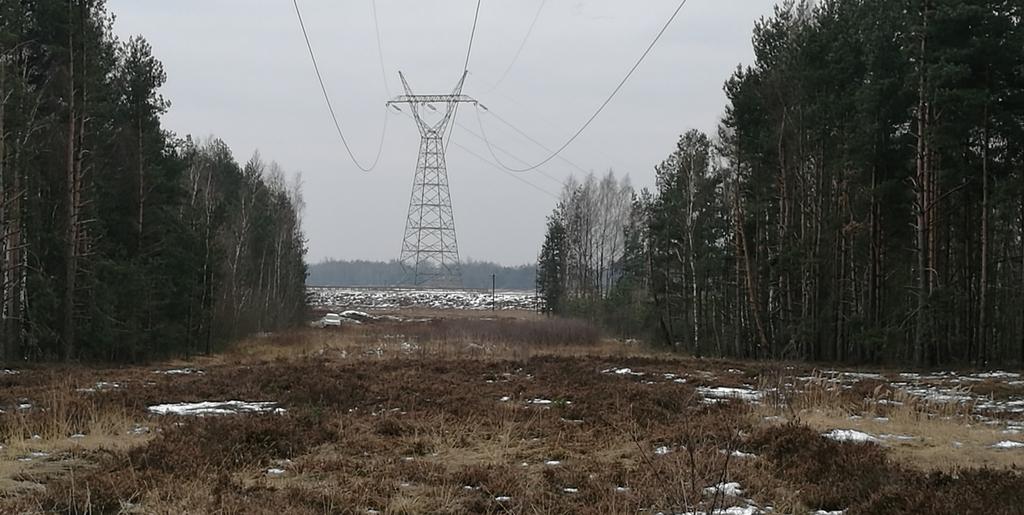 Inwestor: Polskie Sieci Elektroenergetyczne S.A. ul. Warszawska 165 05-520 Konstancin-Jeziorna tel.