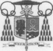 Drogie Siostry i Drodzy Bracia w Chrystusie, Narodziny Jezusa zostały zamknięte ramami dwóch ważnych wędrówek.
