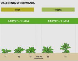 https://www. Zalecenia stosowania preparatu Caryx 240 SL Preparat Caryx 240 SL należy stosować w fazie BBCH 14-16 w dawce 1 l/ha.