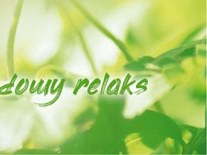 Świetnym pomysłem na relaks jest też kąpiel w SPA