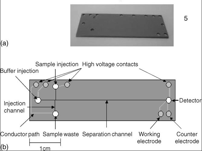 (b) M. Goldbach et al.