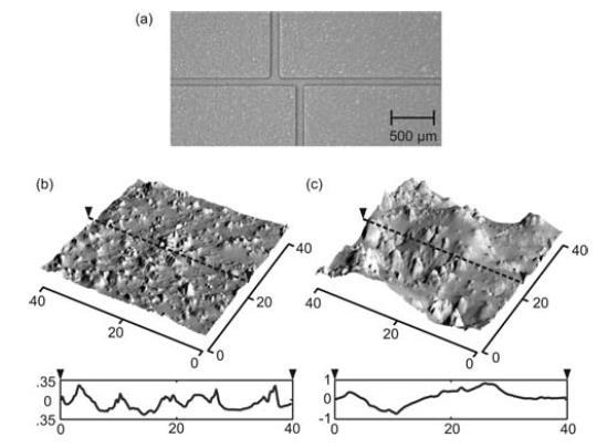 Elektroforeza kapilarna Kanały (a) i topografia powierzchni z profilami chropowatości nieobrabianej (b) i strony frezowanej laserowo strony (c). Wszystkie wymiary podano w µm.