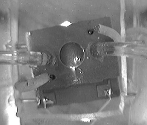 Ceramiczne układy PCR System detekcji