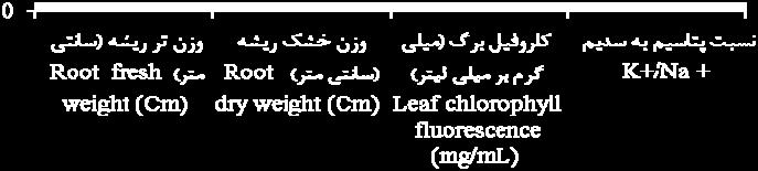 Reggiani and ) (Rahmanm, 1997 K +