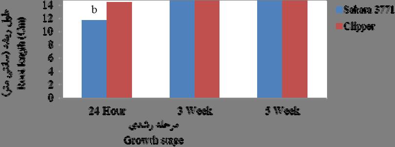 Effect of salinity on root fresh and