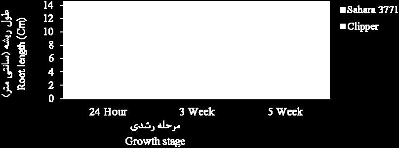 and K + /Na + of Barley cultivars -