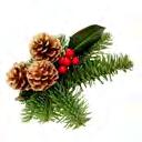Producent: SEQUOIA KALCIKINON* 60 tabletek Producent: VALEANTIS 26, zł 28,30