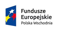 ZAPYTANIE OFERTOWE W RAMACH ZAMÓWIENIA NA DOSTAWĘ ZO/MK/2/2017/POPW w postępowaniu o