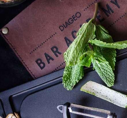 DIAGEO BAR ACADEMY Od podstaw do mistrzostwa Boom kultury koktajlowej sprawił, że praca za barem stała się profesją. Do sukcesu w biznesie barowym nie wystarczy już marzenie i dusza startupowca.