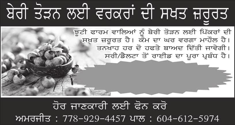 30 International Panjabi Tribune 1 September 2017 lvki di lov j`t is`k aumr 24 swl sri c rih rhy stufynt vysƒ lvky lei pirvwrk Aqy SuSIl lvki di lov hy[ hor jwxkwri lei smprk 604-537-1560 lvkiaw di