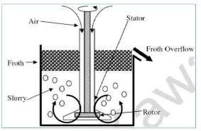 Epithelial barrier