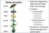 q`q AUTOTROPHS