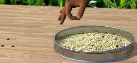 Winnowing