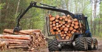 Dwrw Deforestation