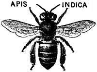 Apiaries mdu m`ki pwlx