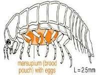 KNOW YOUR