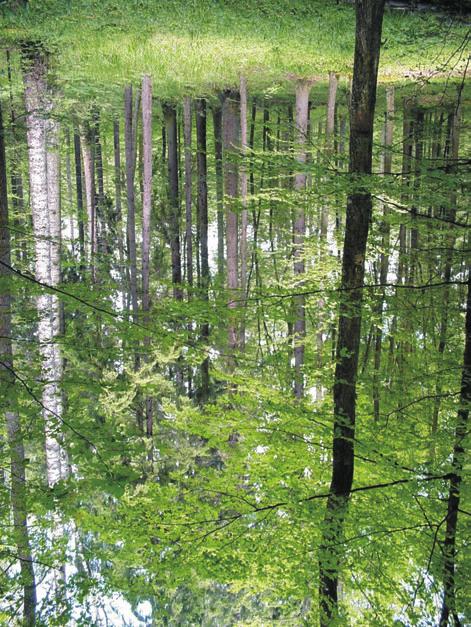 420 EDWARD PIERZGALSKI i wspó³aut. wy, œwiadcz¹cy o zwiêkszaniu siê opadów w pó³roczu zimowym.
