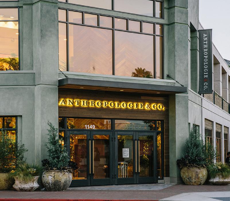 Walnut Creek s Retail Market The Walnut Creek retail market is the premier shopping destination in the East Bay and home to a wide variety of premium branded retailers. Tiffany & Co.