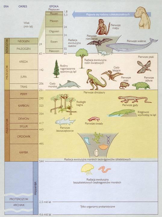 Geologiczna