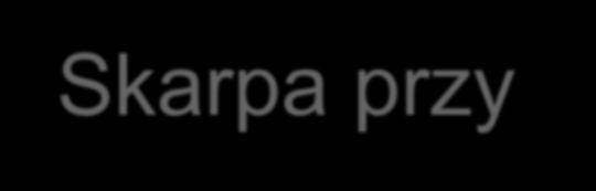 Skarpa przy Bulwarach Straceńskich Program działań