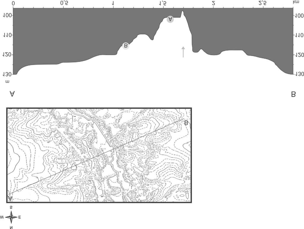 Cezary Tomczyk Ryc. 3. Poglądowy przekrój przez dolinę Lubszy kowej piaski średnioziarniste, a w stropie mułki. Przejście między formacjami piaszczystymi i mułkowymi jest stopniowe i wyraźne.