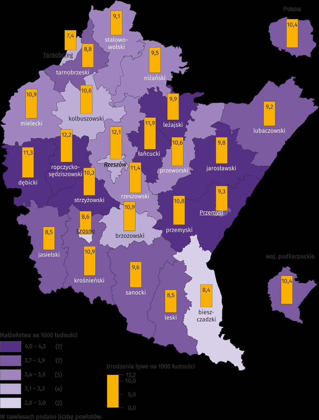 RZESZÓW NA TLE WOJEWÓDZTWA PODKARPACKIEGO I.